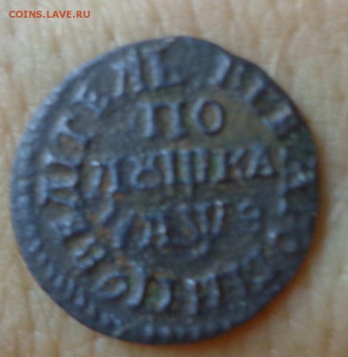 полушка 1707год Петр 1 - DSC07369.JPG