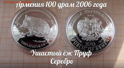 Армения 100 драм 2006 года Ушастый ёж Пруф Серебро - 9FK5Fffa5yA