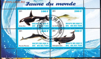 Малави 2010 морская фауна - 20