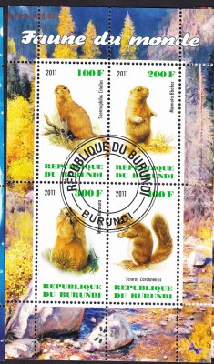 Бурунди 2011 фауна - 21