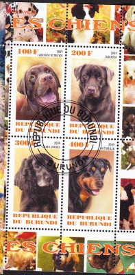 Бурунди 2009 собаки (3) - 22