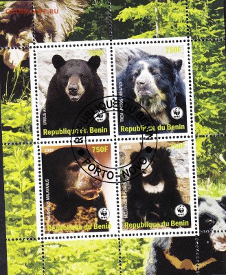 Бенин 2008 медведи - 9