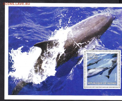 Гвинея 2002 киты блок - 12