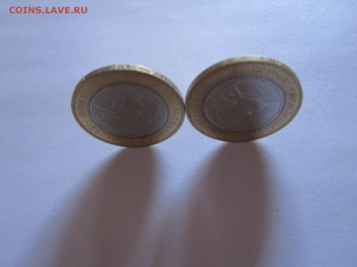 Алания гурт Сочи – 2 варианта надписи на гурте 12.07 22:00 - IMG_9406.JPG