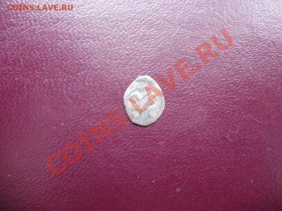 чешуя - PB220279.JPG