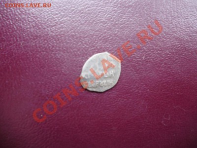 чешуя - PB220280.JPG