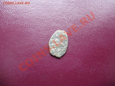 чешуя - PB220282.JPG