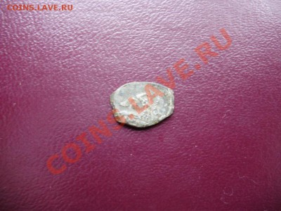 чешуя - PB220283.JPG
