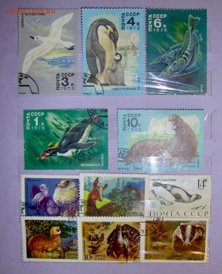 Альбом  Флора-Фауна - 15.JPG