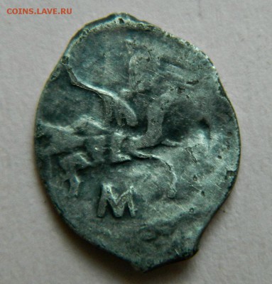 2 чешуйки,определение и оценка - DSCN1992.JPG
