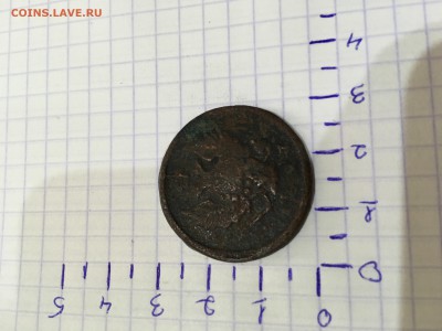 5 - IMG_7063.JPG