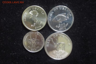 Уганда набор 4 монет животные до 18,07,16 - Уганда ж 4.JPG