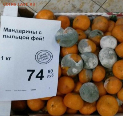 веселые картинки - 6S0CPjhEWuk