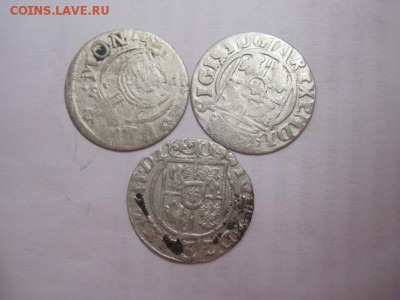 полтараки Сигизмунд 3 шт. до 16.07.16 - IMG_2988.JPG