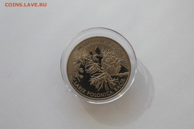 Украина 2 гривны 2001 Модрина польская UNC 16.07.16 в 21:15 - IMG_3170.JPG