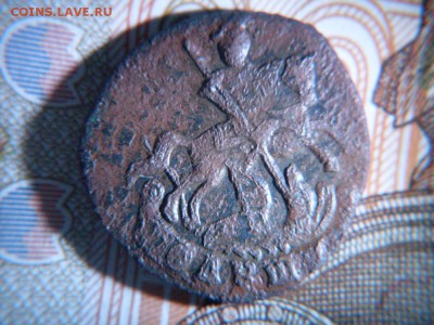 б (уставшая) - SDC12328.JPG