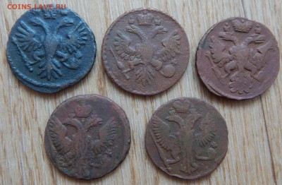 Денга 1731,37,38,46,47гг. 5шт. - DSCN1131.JPG