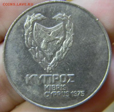 500 мил кипр - DSCN8609.JPG
