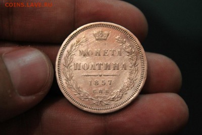 ПОЛТИНА 1857 ГОДА - Изображение 742