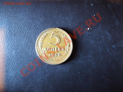 5 копеек. 5штук. 30,38,39,43,48г. Не чищены  до 1.12 22-00 - PB251721.JPG