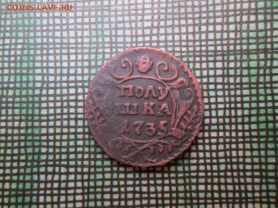 Полушка 1735г. - Полушка 1735г. (900x675)