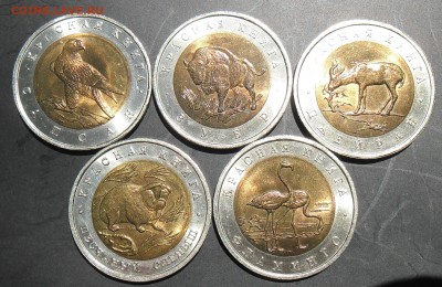 Красная книга-94, 5 монет, до 22-00 20.07.16 - 94-r
