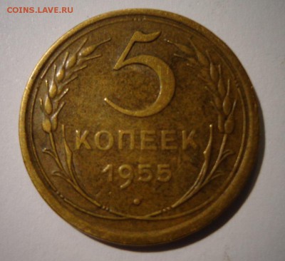 5 коп. 1955 г. УНС - DSC01973.JPG