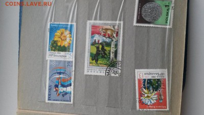 оцените пожалуйста марки - D4FupQHPfgs