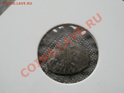На определение и оценку! - PB250654.JPG
