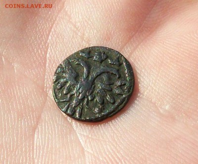 В коллекцию, полушка  Петра Алексеевича 1719 года до 24.07 - 101_0275.JPG