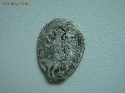 15 чашуек на определение и оценку - DSCN4816.JPG