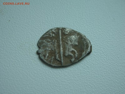 15 чашуек на определение и оценку - DSCN4818.JPG