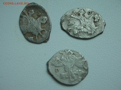 15 чашуек на определение и оценку - DSCN4832.JPG