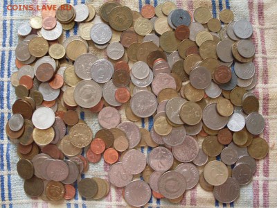 солянка импорта (дальнего +ближнего) 1,160 кг . 300шт. до ух - SDC12340.JPG