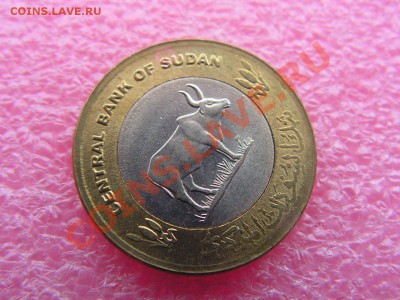 -Судан- 20 пиастр -поворот- 29,11 22-00 - PICT0830.JPG