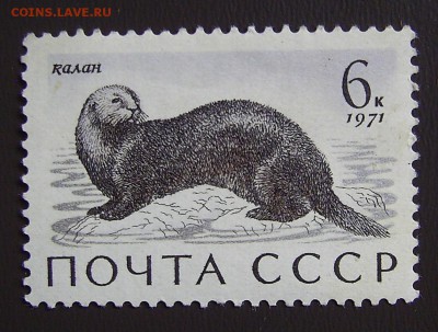 СССР 1971 Калан* - PIC_0594.JPG