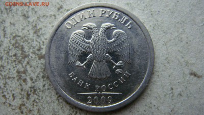 Вопросы по разновиднстям от сахарок - DSC06548.JPG