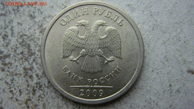 Вопросы по разновиднстям от сахарок - DSC06546.JPG