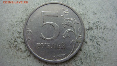 Вопросы по разновиднстям от сахарок - DSC06633.JPG