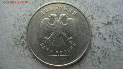 Вопросы по разновиднстям от сахарок - DSC06632.JPG
