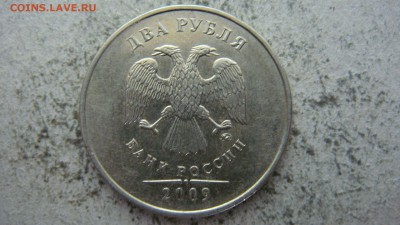 Вопросы по разновиднстям от сахарок - DSC06630.JPG