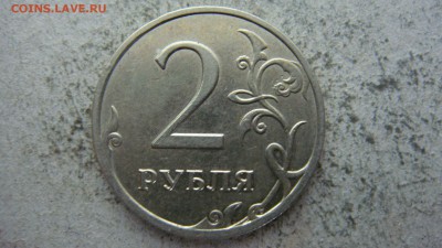 Вопросы по разновиднстям от сахарок - DSC06629.JPG