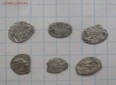 6 чешуек на определение и оценку - SAM_7655.JPG