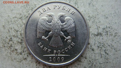 Вопросы по разновиднстям от сахарок - DSC06642.JPG