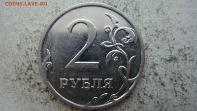 Вопросы по разновиднстям от сахарок - DSC06641.JPG