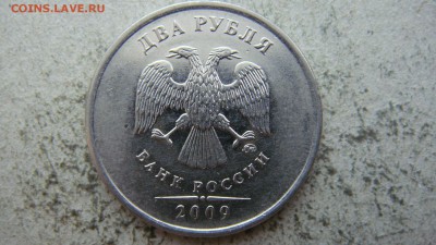 Вопросы по разновиднстям от сахарок - DSC06640.JPG