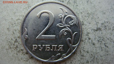Вопросы по разновиднстям от сахарок - DSC06639.JPG
