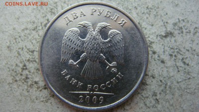 Вопросы по разновиднстям от сахарок - DSC06638.JPG