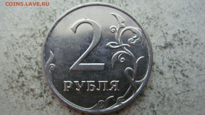 Вопросы по разновиднстям от сахарок - DSC06637.JPG