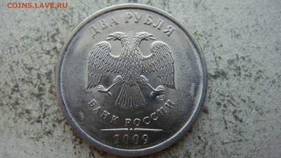 Вопросы по разновиднстям от сахарок - DSC06636.JPG
